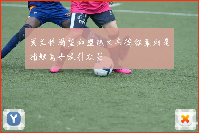 莫兰特渴望加盟热火韦德称莱利是捕鲸高手吸引众星