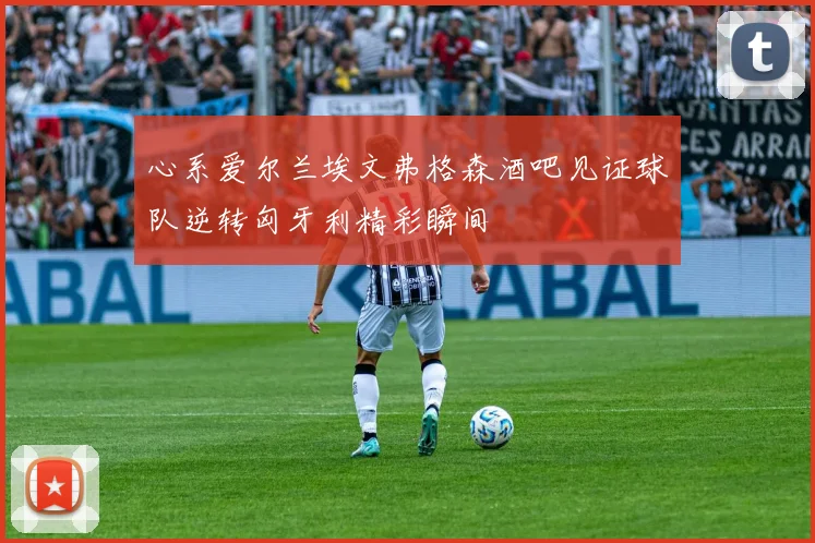 心系爱尔兰埃文弗格森酒吧见证球队逆转匈牙利精彩瞬间