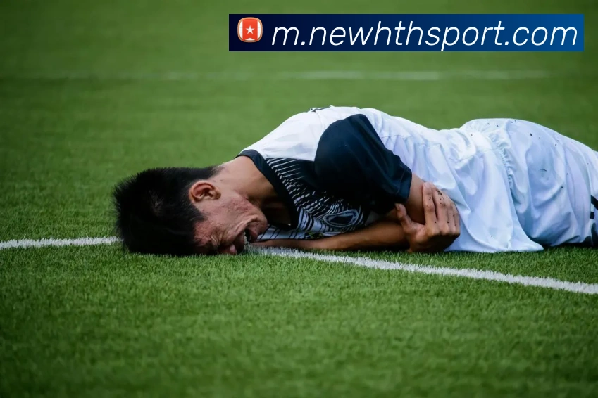 华体会足球平台生态图