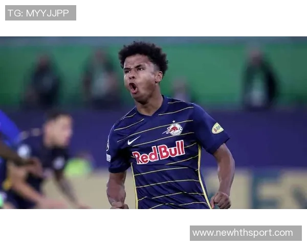 阿德耶米因非法持有武器被罚款45万欧元引发广泛关注